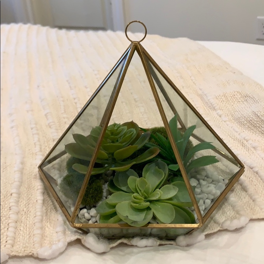 This is a FAKE but real looking plant